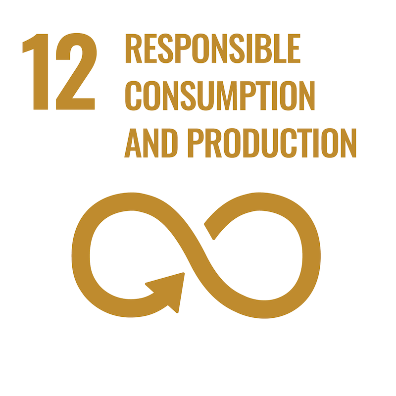 SDG 12 graphic