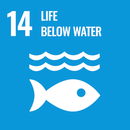 SDG 14 graphic