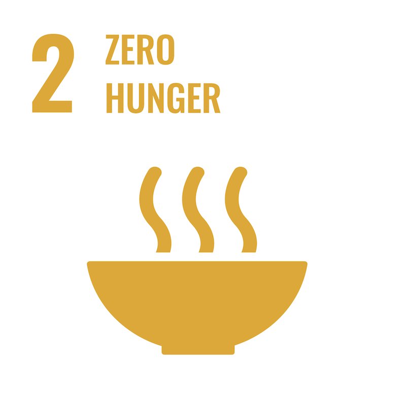 SDG 2 graphic