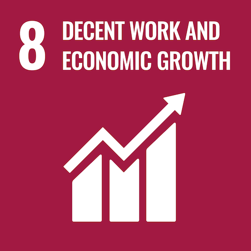 SDG 8 graphic
