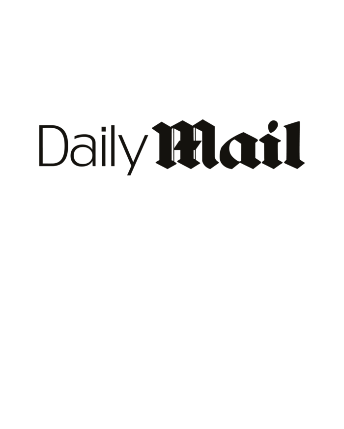 Daily Mail media logo