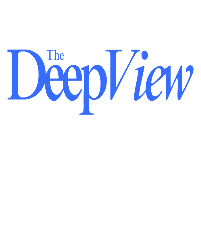 The Deep View media logo
